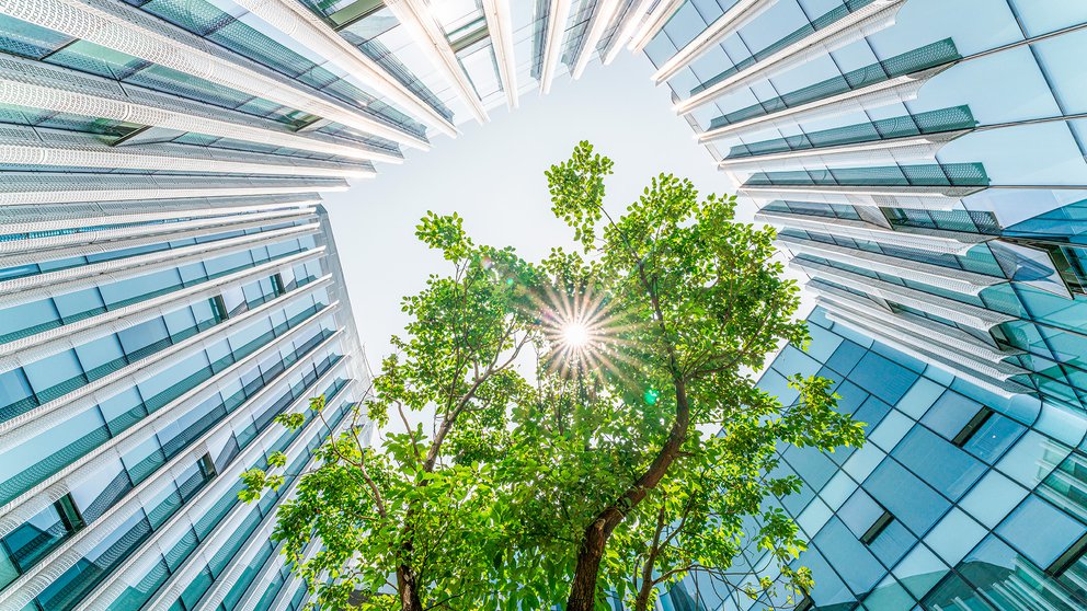 Construcción “COVID free”: el impacto del coronavirus en la arquitectura y el urbanismo analizado por expertos
